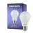 Noxion Lucent Classic LED E27 Peer Mat 4.9W 480lm - 840 Koel Wit | Vervangt 40W